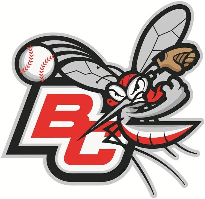 Battle Creek Bombers 2011-Pres Alternate Logo iron on transfers for clothing